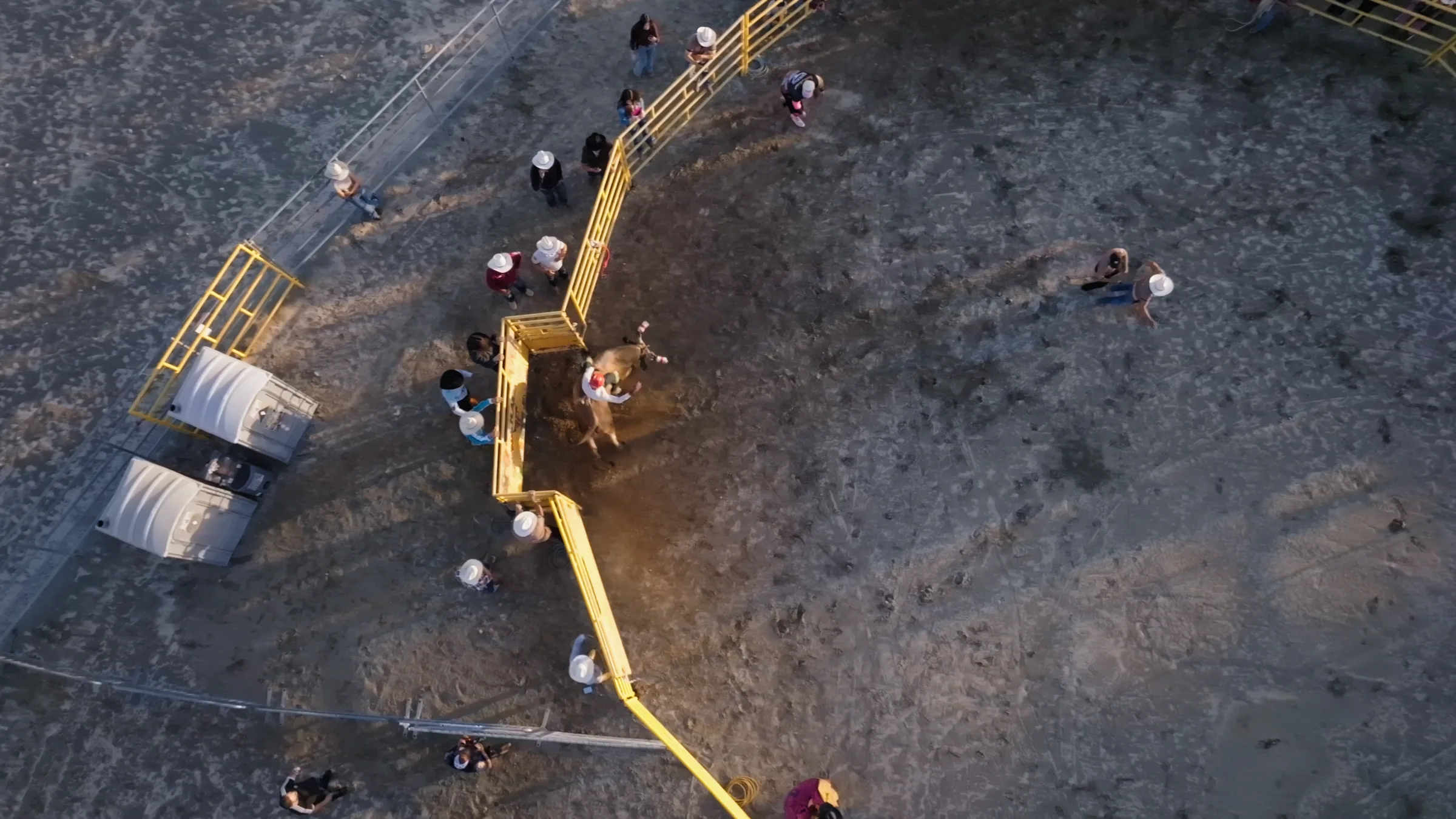 Overhead aerial view of the jaripeo arena during the riding sequence